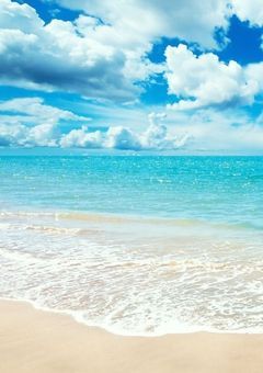 サママ・フェスティバルな女王と妹