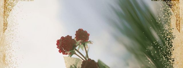 𝐦𝐢𝐲‬𝐮🌼☘️🌈さんの壁紙画像