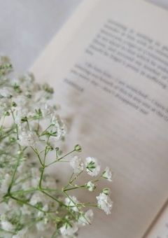 図書室に居る あの子 . mrkm ＿