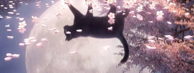 ¡Yo soy  kitsune!さんの壁紙画像