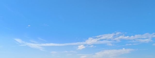 マヨさんの壁紙画像