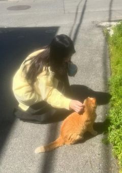 ㅤ猫かと思ったら犬だった件.