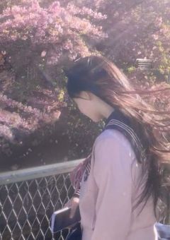 また君と桜を見れたら .