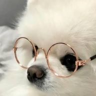 사라さんのアイコン画像