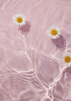 幼なじみにレンタルされました【🍗】