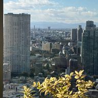 山口若菜さんのアイコン画像