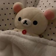 ﾘﾝｺﾞﾁｬﾝさんのアイコン画像