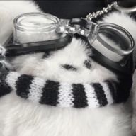 なるさんのアイコン画像