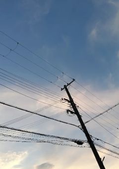 【王の顔を持つ者】夢主強火担同盟