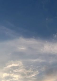 【王の顔を持つ者夢主強火担同盟】入室許可証発行審査会