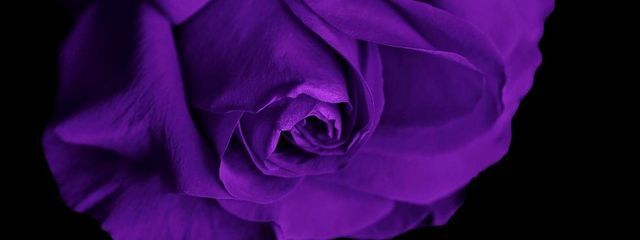 零採🔰さんの壁紙画像