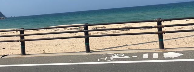 🪽🌹さんの壁紙画像