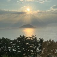 🪽🌹さんのアイコン画像