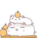 白ハムさん