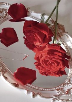 【lrn 】勘違いさせないで､先輩