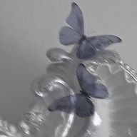 솔아さんのアイコン画像