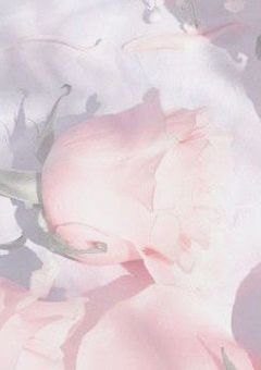 貴方に1輪の花を＿＿。〆