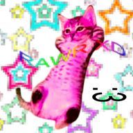 キイさんのアイコン画像