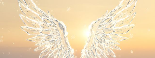 白莉🕊️さんの壁紙画像