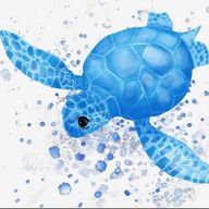 ウミガメさんのアイコン画像