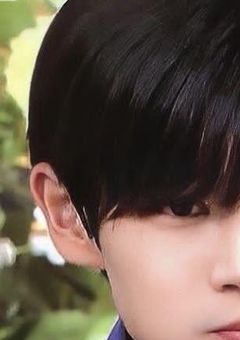 ๆใซ่ณใ็