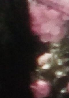 ๅๅ ๅใฎไบ