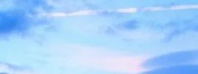 ダレさんの壁紙画像