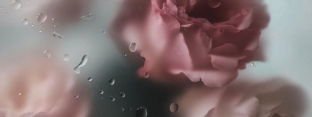 RiZさんの壁紙画像