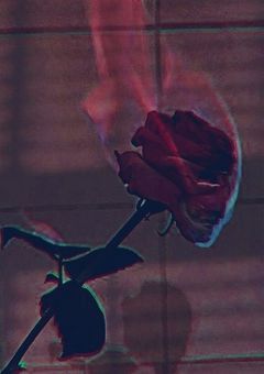 虐げられてた私ですが " もう一度 " 天女になって見返してやります