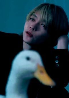 「君の味方だよ」