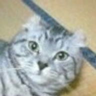 あらたさんのアイコン画像