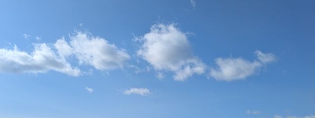 サクラ🌸さんの壁紙画像