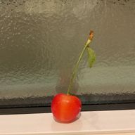 Naoさんのアイコン画像