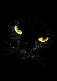 ˙˚ 𓆩🗝見えない復讐🖤𓆪 ˚˙