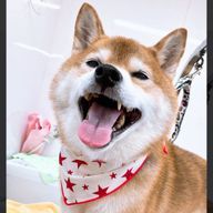 はるあかさんのアイコン画像