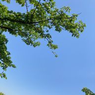空さんのアイコン画像