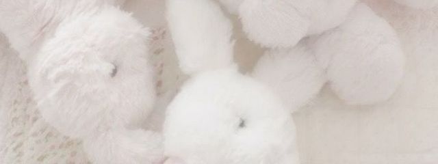 ㅤㅤㅤ苺心奈ㅤみゆㅤ.さんの壁紙画像