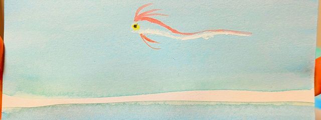 　たこめしさんの壁紙画像