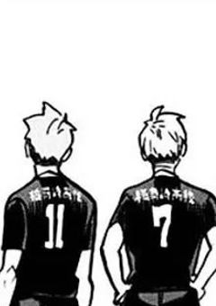 稲荷崎のイケメンは私のボディガードになりました！