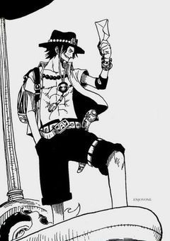 エースの双子の妹、麦わらの一味らしい