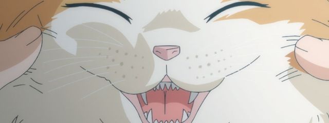 あんこさんの壁紙画像