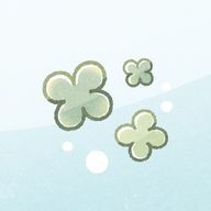 青葉さんのアイコン画像