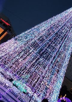 私たちは雪が降る中で