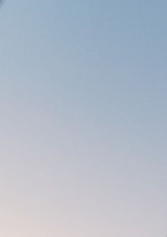 あの夏の日の記憶だ
