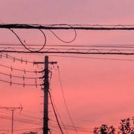 はこくさんのアイコン画像