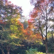 とある8人さんのアイコン画像