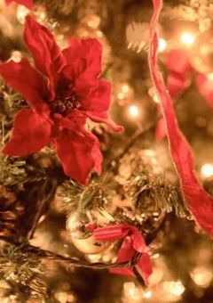 《特別企画》クリスマスの夜の物語り__【参加型】