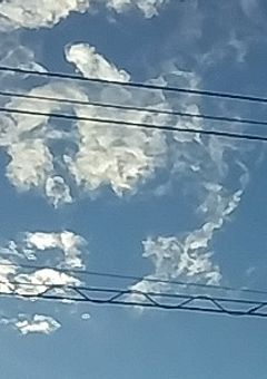 届かない恋かもしれないけれど 読み切り