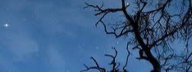 夜月  🌙*·̩͙さんの壁紙画像