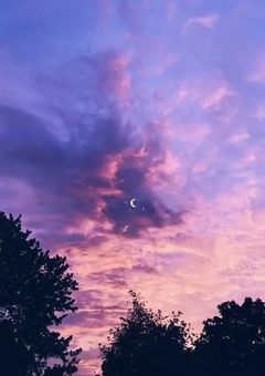 fw ￤ 檻の姫は夜に溶ける